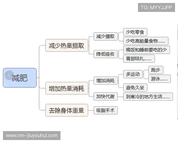 山羊笔记深度解读足球战术演变与球场智慧背后的思维逻辑 山羊笔记深度解读足球战术演变与球场智慧背后的思维逻辑